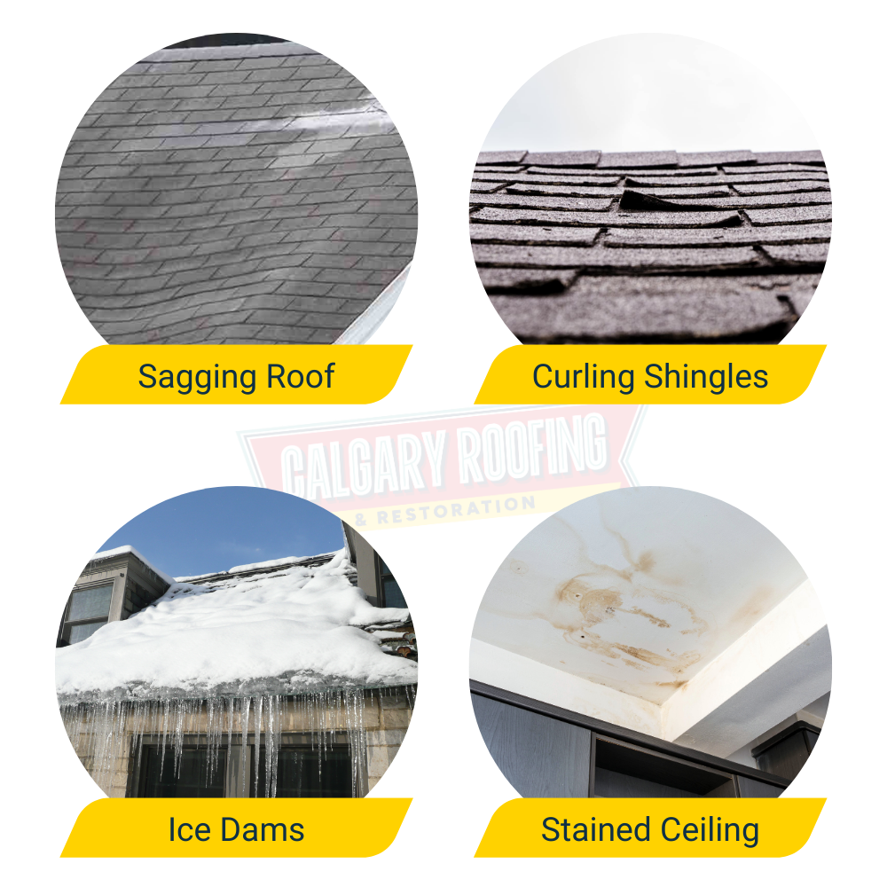 roof issues signs feb promo