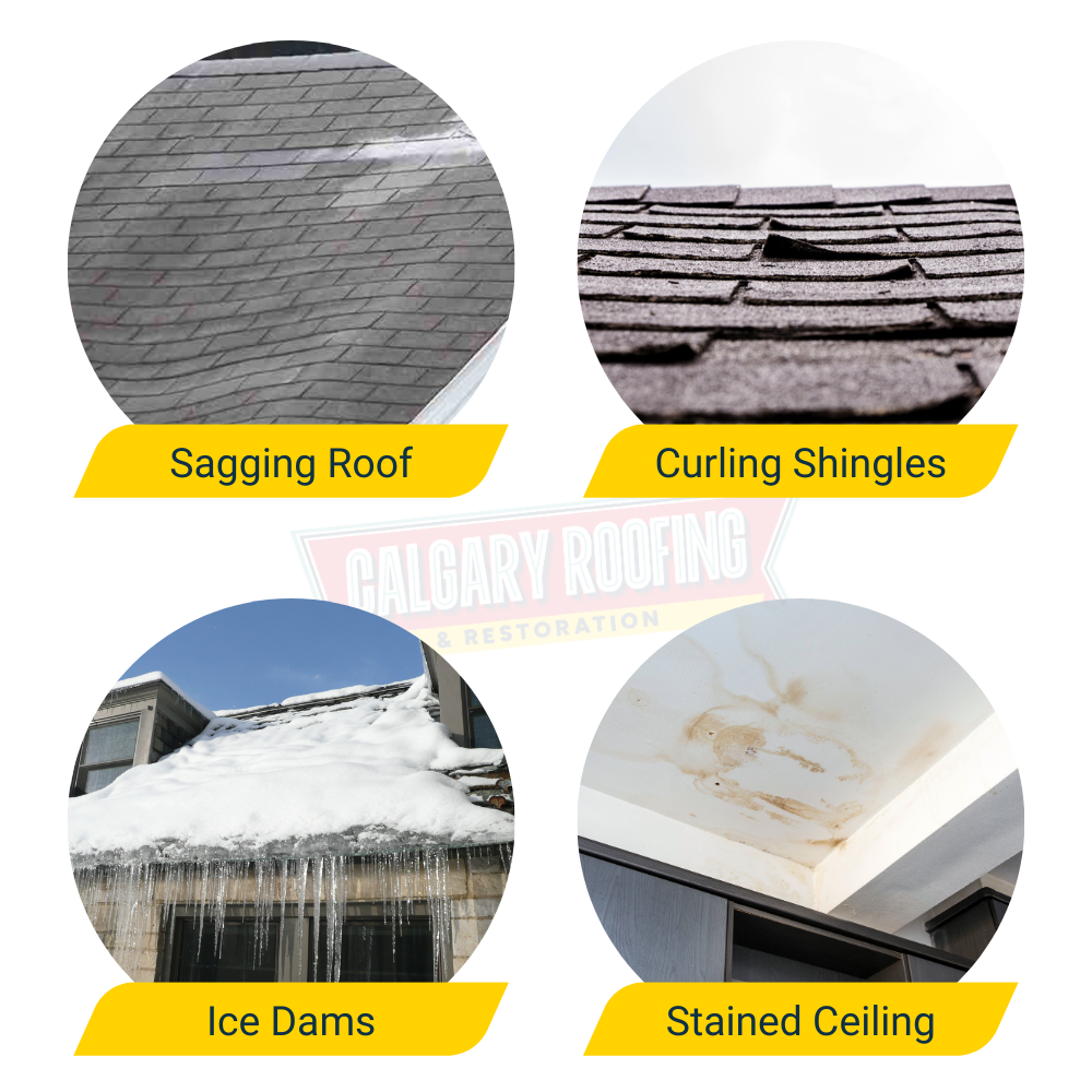 roof issues signs feb promo